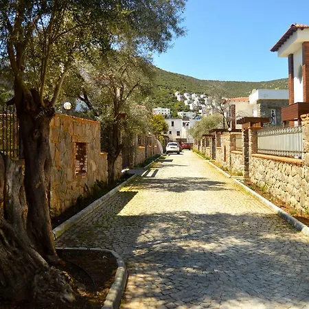 Important Group Villa Bd459 Torba 3+1 * Bodrum